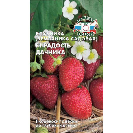 Земляника Радость дачника Седек Ц