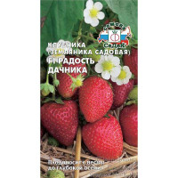 Земляника Радость дачника Седек Ц