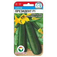 Кабачок Президент СибСад Ц