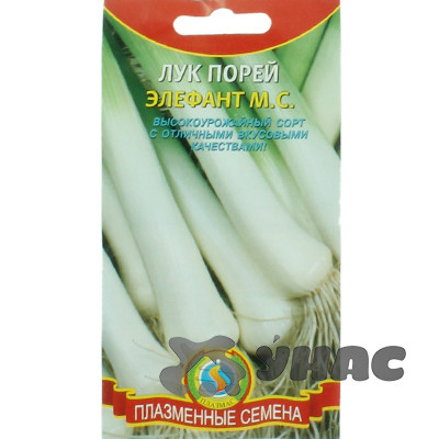 Лук порей Элефант Плазма Ц