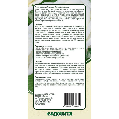 Роза чайно-гибридная Белый шоколад Садовита