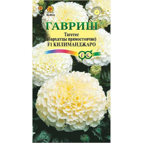 Бархатцы Килиманджаро Гавриш Ц