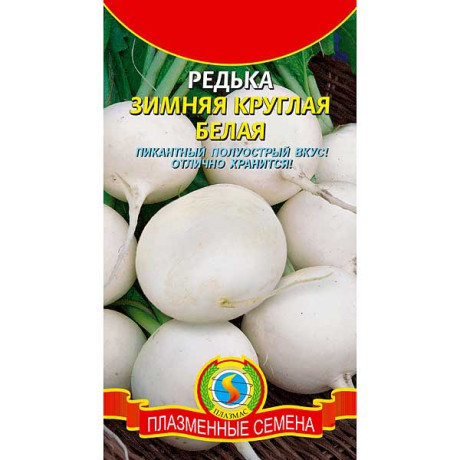 Редька Зимняя круглая белая Плазма Ц
