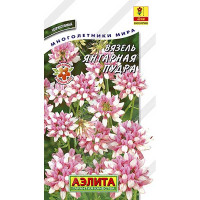 Вязель Янтарная пудра Аэлита Ц х10