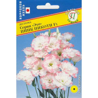 Эустома Эхо Пинк Пикоти Престиж Ц