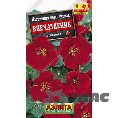 Настурция Впечатление Аэлита Ц