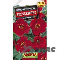 Настурция Впечатление Аэлита Ц