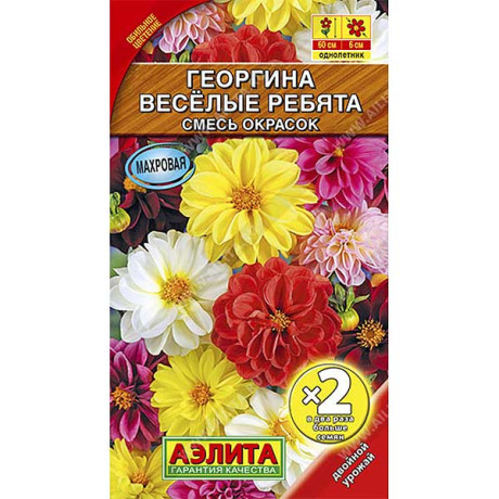 Георгин Веселые ребята 2-ая гр Аэлита Ц