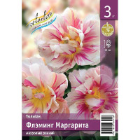 Тюльпан Флэминг Маргарита 11/12 3 шт