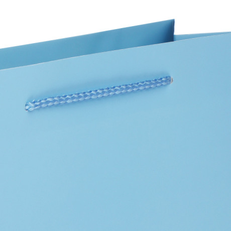 Пакет тм Fntastic подарочный, L 32x26x10см, бумага, арт.14, 4 цвета