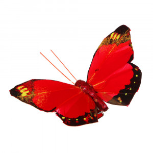 INBLOOM Бабочка декоративная Лесная на прищепке 8см