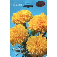 К Бархатцы Солнечные гиганты (Германия) Каприс