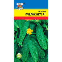 Огурец Пчелок нет Урожай у дачи Ц