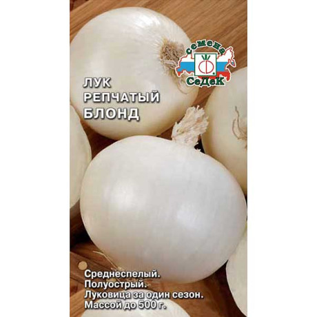 Лук Блонд Седек Ц