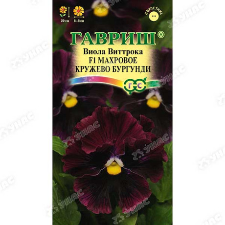 Виола Виттрока Махровое кружево бургунди Гавриш Ц