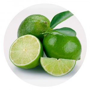 Доска разделочная "Лайм" подстав.под горячее, d=20см, стекло VL48-39 Мультидом