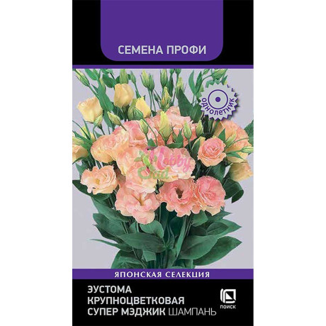 Семена Эустома Супер Мэджик Шампань Поиск Ц