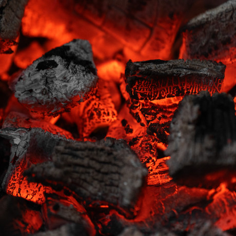 Уголь березовый, 3 кг Camping Palisad