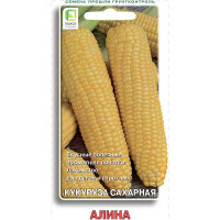 Кукуруза Алина Поиск Ц