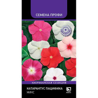 Катарантус Пацифика Микс Поиск Ц