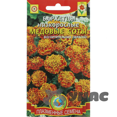 Бархатцы Медовые соты низкорос Плазма Ц