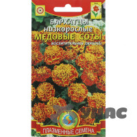 Бархатцы Медовые соты низкорос Плазма Ц
