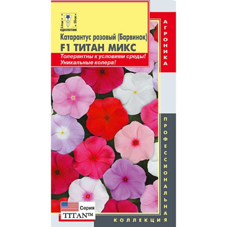 Катарантус Титан Микс Плазма Ц