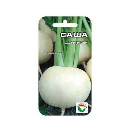 Дайкон Саша СибСад Ц