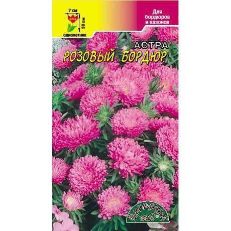 Астра Бордюр Розовый ЦветСад Ц