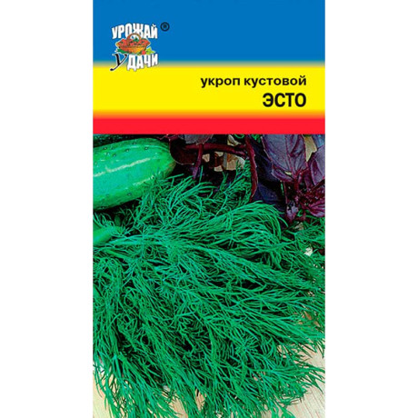Укроп Эсто кустовой Урожай у дачи Ц
