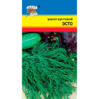 Укроп Эсто кустовой Урожай у дачи Ц