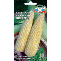 Кукуруза Ника 353 сахарная  Седек Ц