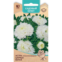 Астра Царица Белая Поиск Ц