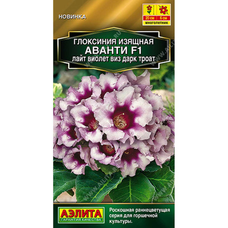 Ком Глоксиния Аванти лайт виолет виз дарк троат Аэлита Цх10
