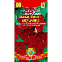 Настурция Махагоновое мерцание низкорос Плазма Ц