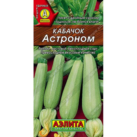 Кабачок Астроном Аэлита Ц