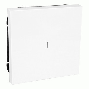 Bylectrica CARRE мех. выкл. СУ 1 кл. (инд. корп. ABS) белый (С110-3607)