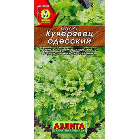 Салат Одесский кучерявец Аэлита Ц