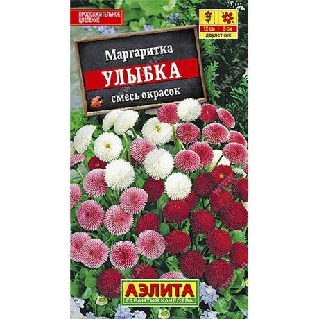 Маргаритка Улыбка махр помпонная Аэлита Ц