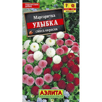 Маргаритка Улыбка махр помпонная Аэлита Ц