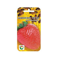 Клубника Медовое лето СибСад Ц