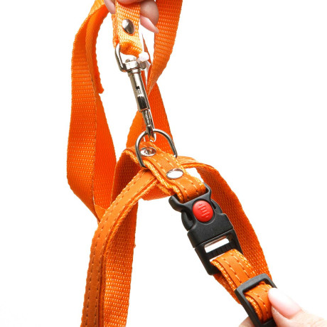 Шлейка+поводок капрон декоративная лента ширина 15 мм