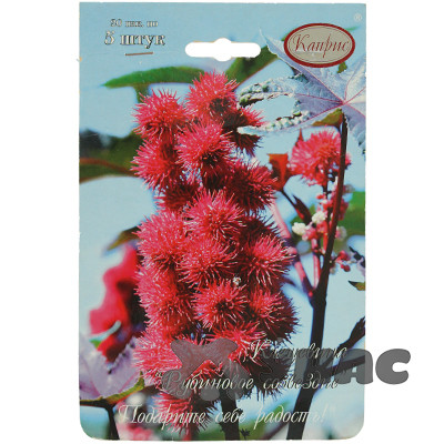 К Клещевина Рубиновое созвездие Каприс