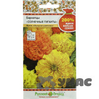 Бархатцы Солнечные гиганты НК Ц