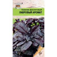 Базилик Лавровый аромат Урожай у дачи Ц