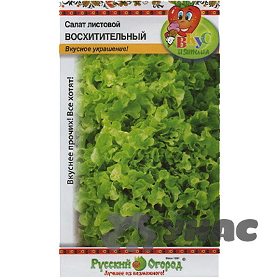 Салат Восхитительный F1 листовой (Вкуснятина)НК Ц