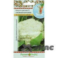 Капуста цв. Снежная королева  НК Ц
