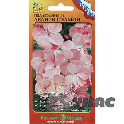 КОМ Пеларгония Аванти сэлмон НК Ц