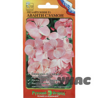 КОМ Пеларгония Аванти сэлмон НК Ц