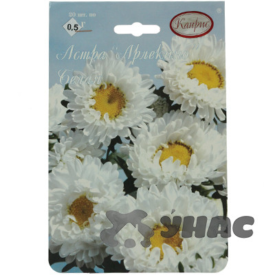 К Астра Арлекино Белая Каприс